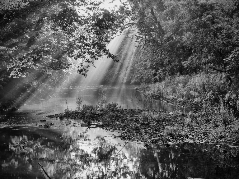In the  Light